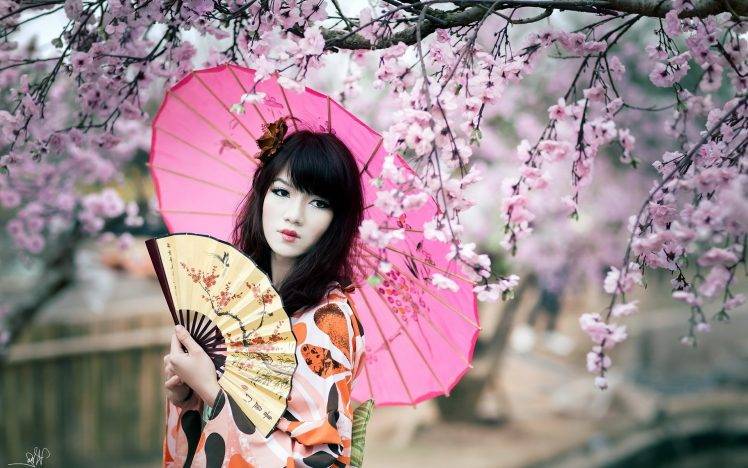 women, Cherry Blossom, Japan, Fans, Parasol HD Wallpaper Desktop Background