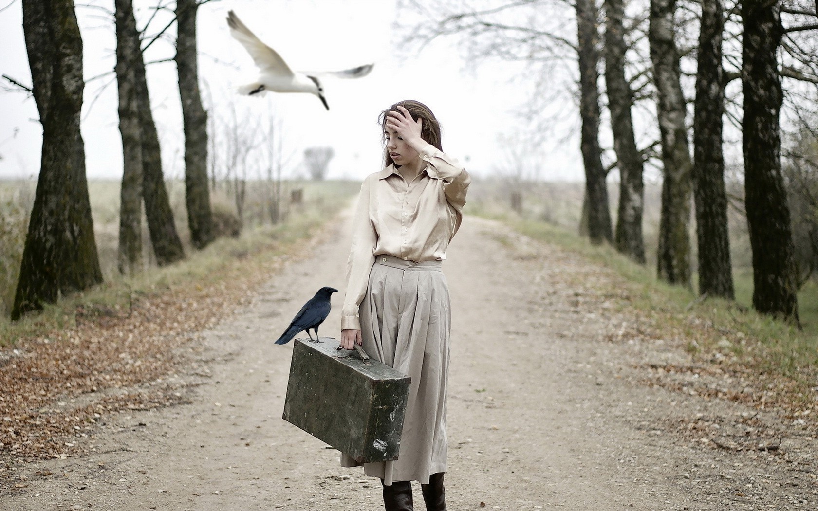 women, Brunette, Women Outdoors Wallpaper