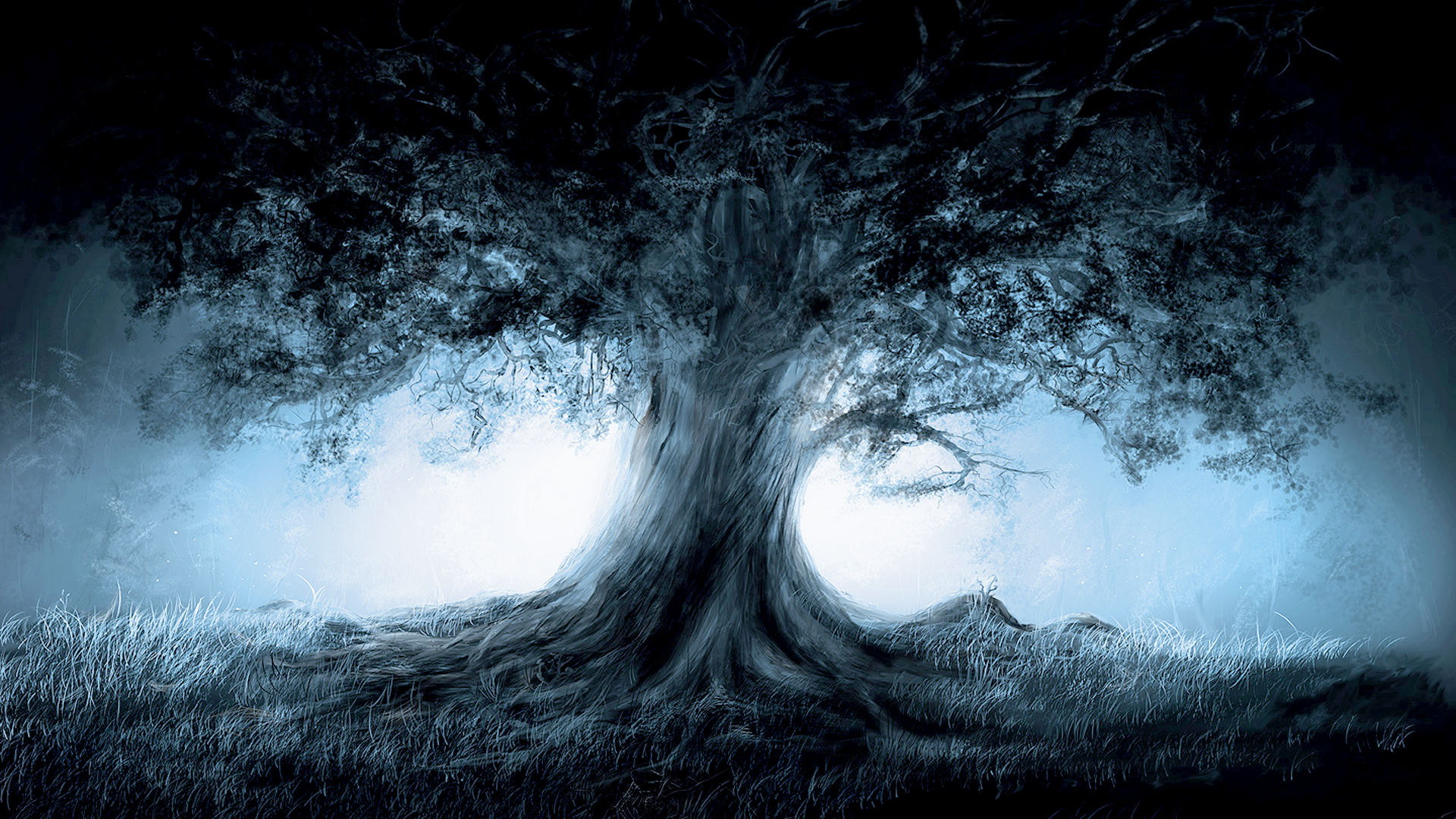 Hd Wallpapers, Tree, Mist, Fantastic Wallpapers HD ...