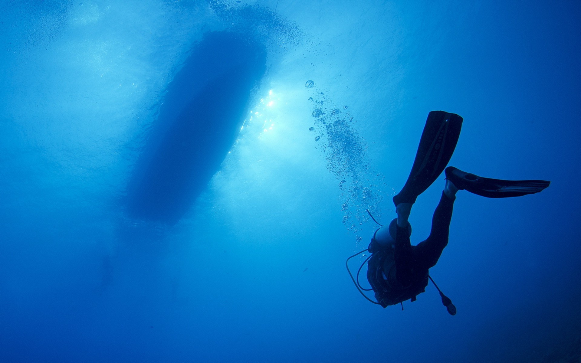underwater, Divers Wallpaper