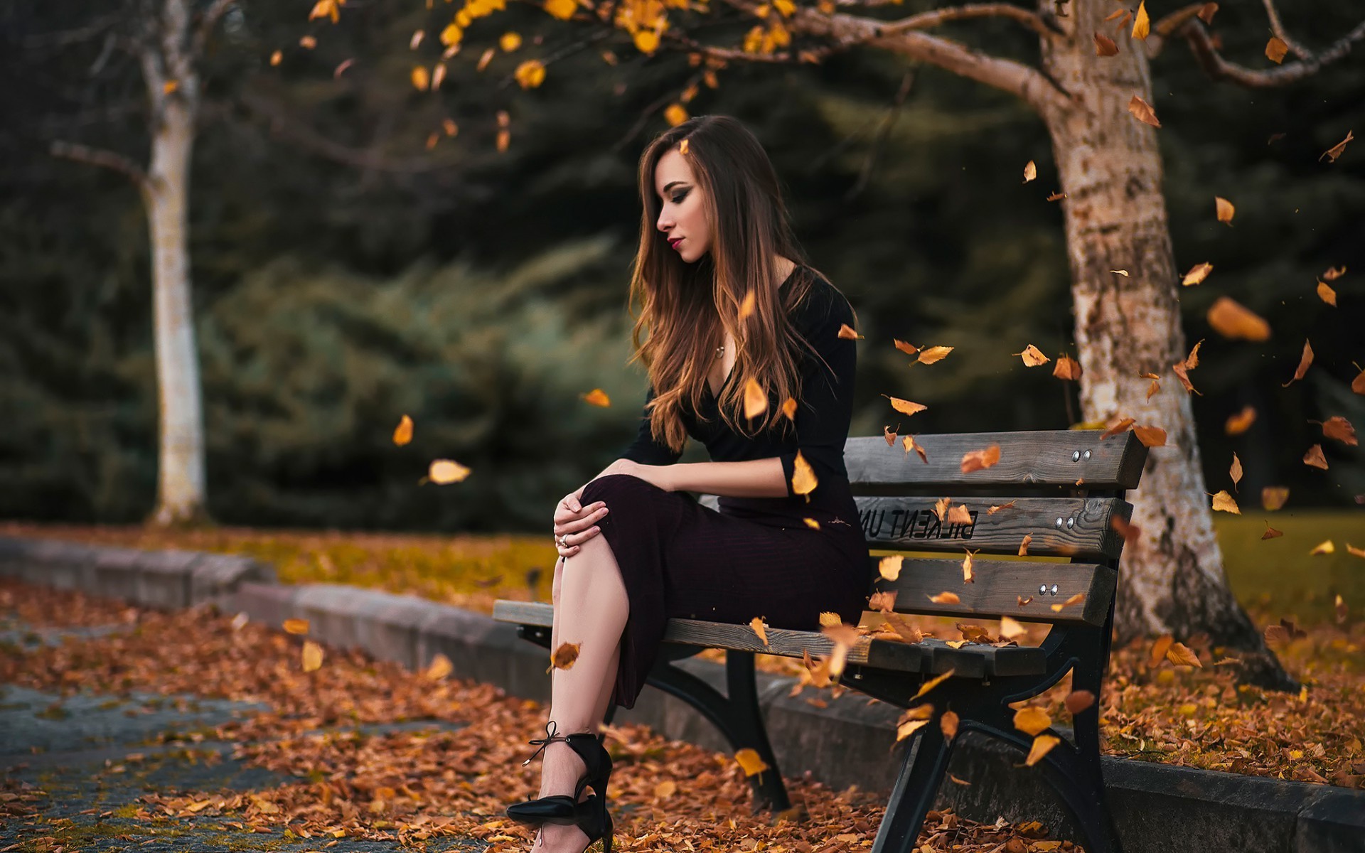 women, Long Hair, Women Outdoors, Sitting, Classy, Dress, Black Dress, Blonde, Leaves, Heels, Depth Of Field Wallpaper