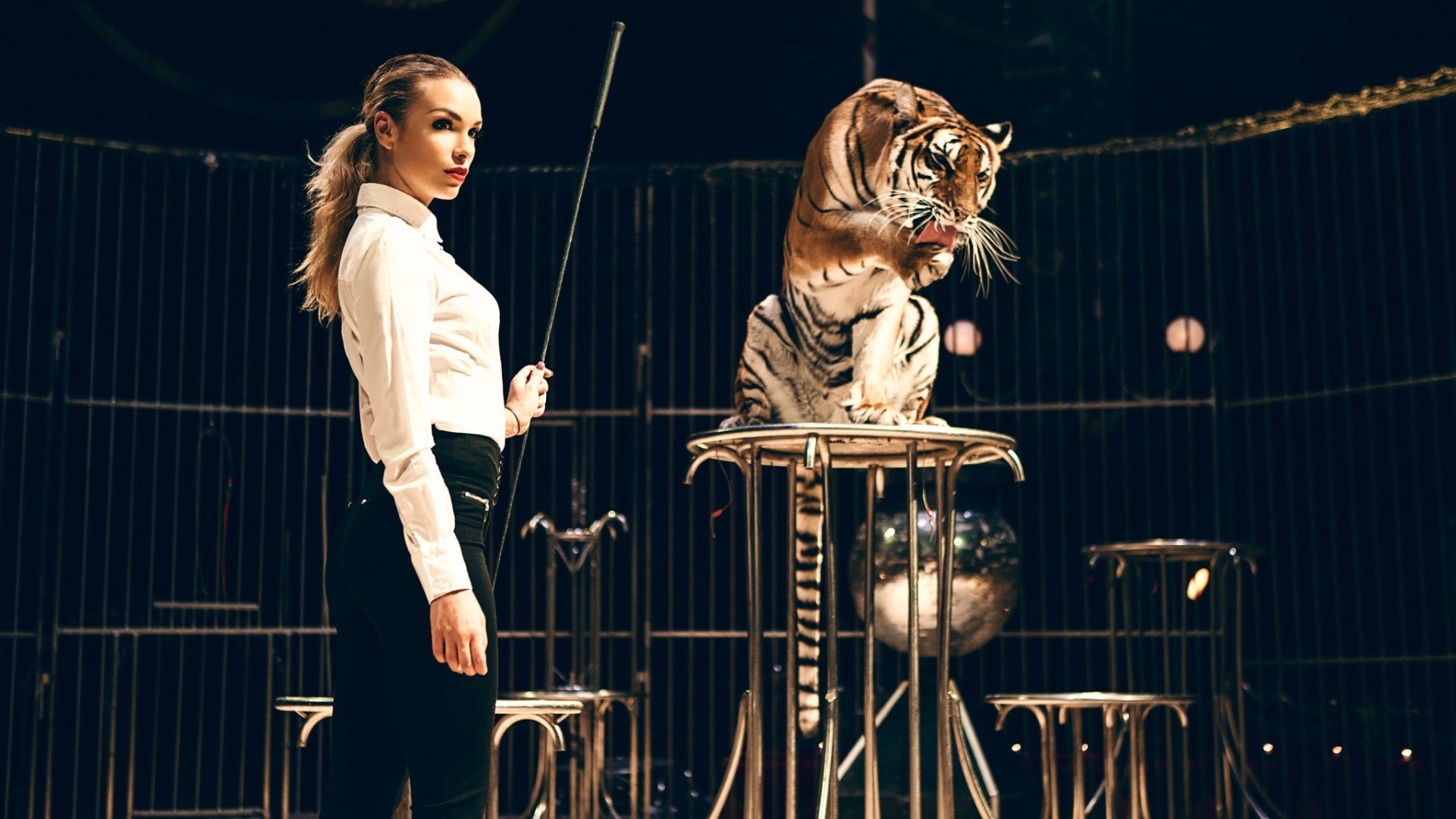 women, Model, Blonde, Long Hair, Circus, Animals, Tiger, Cages, Tight Clothing, Shirt, Whips, Training, Danger, Ponytail, Looking Away, Red Lipstick, Wild Cat Wallpaper