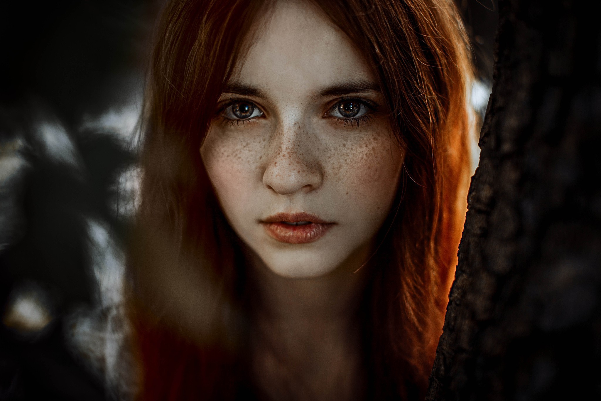 Women Model Redhead Face Freckles Hazel Eyes Portrait Wallpapers