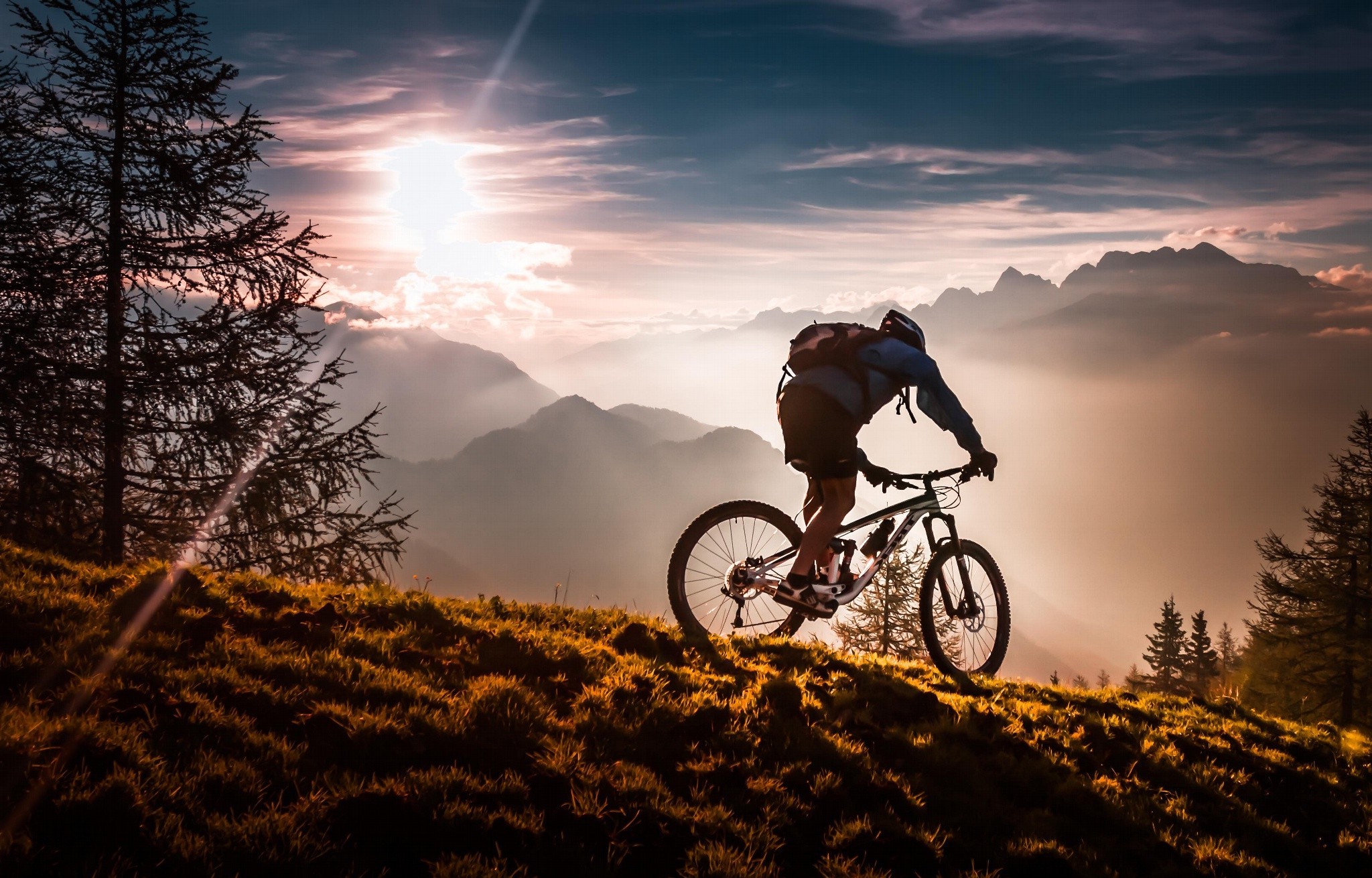 nature, Bicycle Wallpaper