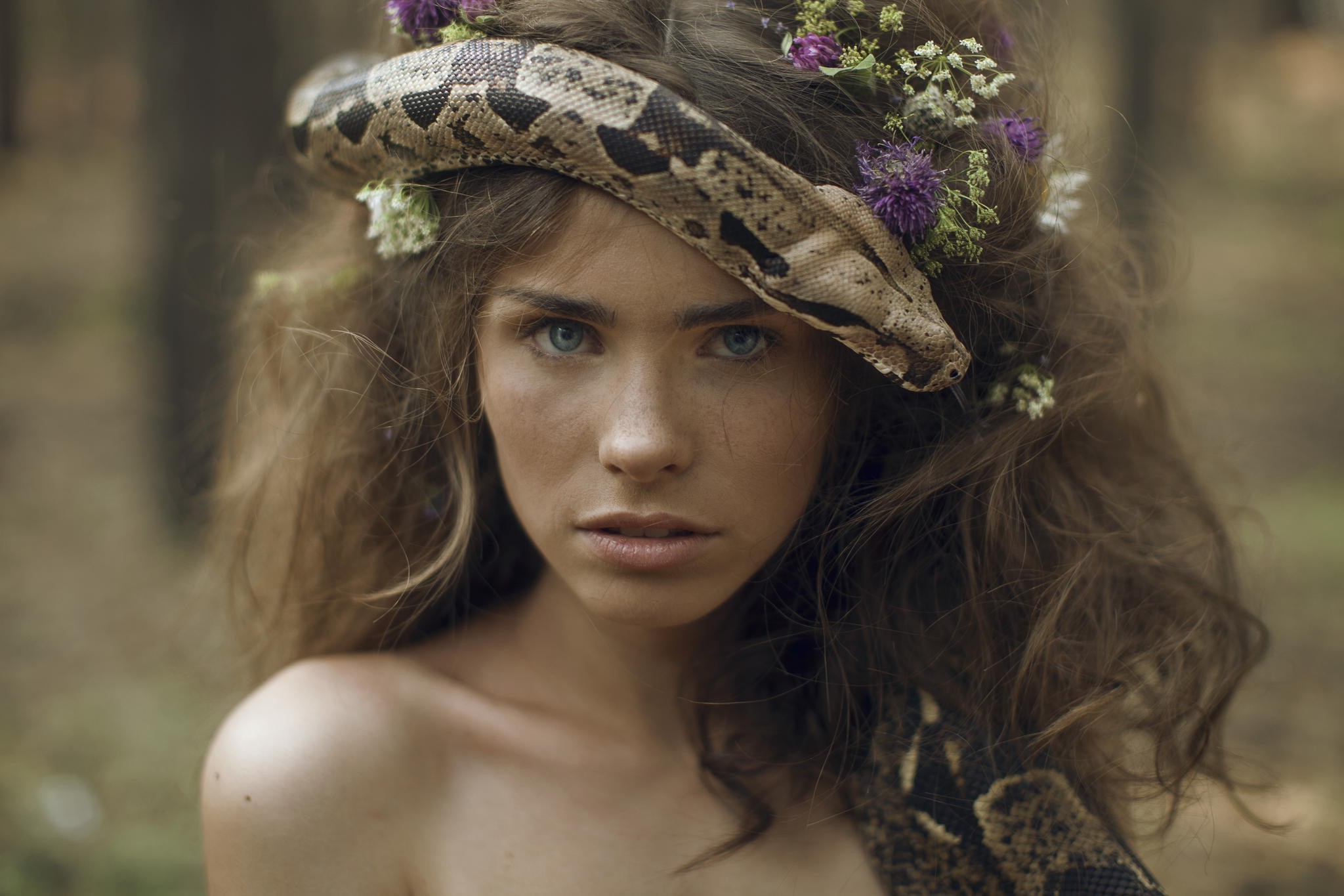 women, Auburn Hair, Blue Eyes, Freckles, Bare Shoulders, Face, Animals, Snake, Flower In Hair Wallpaper