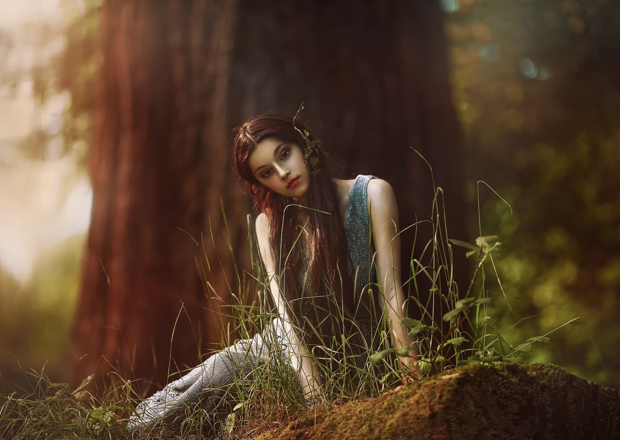 forest, Nature, Women, Model Wallpaper