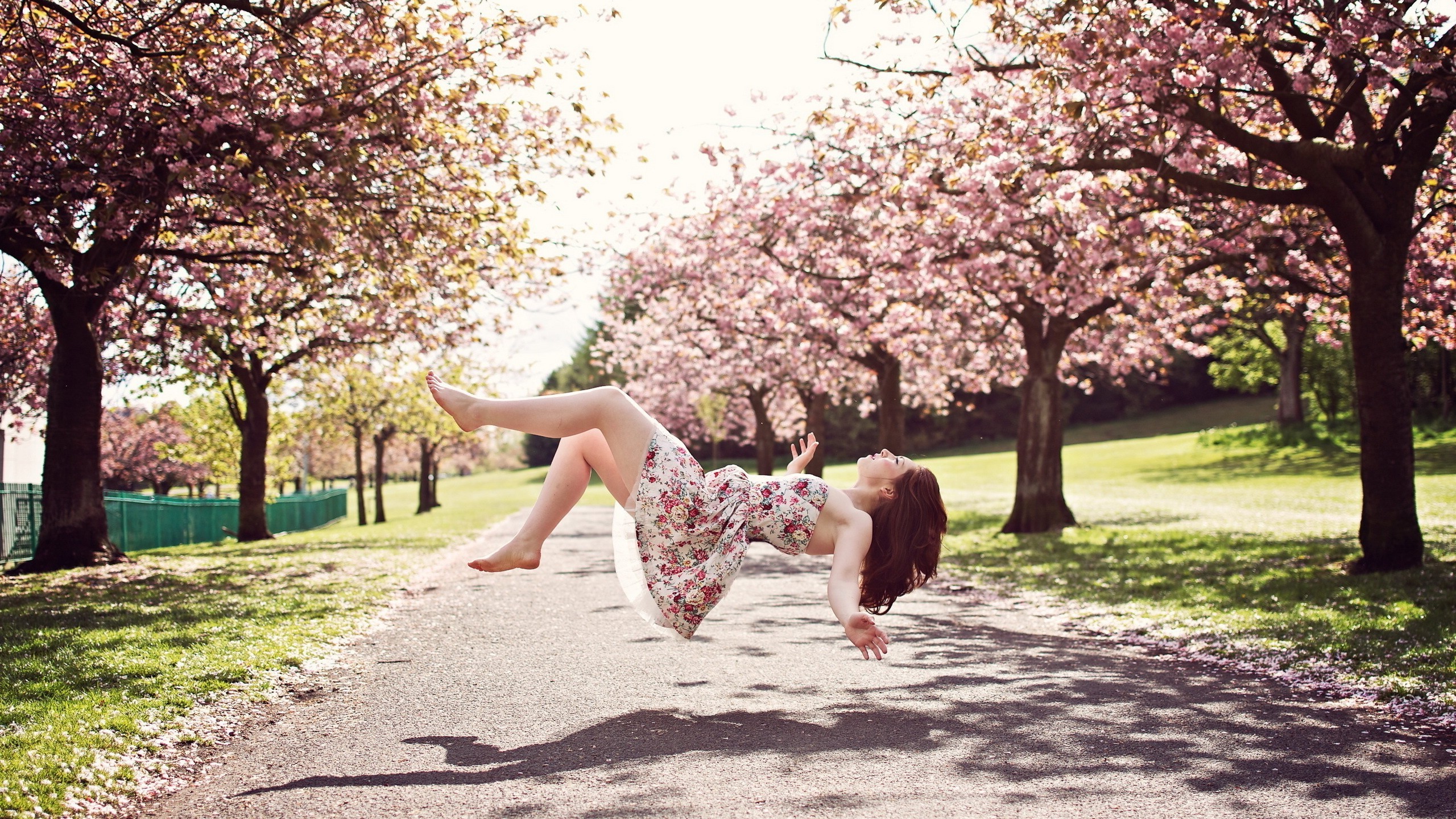 women, Model, Brunette, Long Hair, Flying, Floating, Women Outdoors, Trees, Road, Dress, Shadow, Magic, Grass, Park, Closed Eyes, Barefoot, Bare Shoulders, Open Mouth, Blossoms, Asian, Cherry Blossom Wallpaper