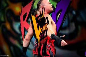 WWE, Rob Van Dam, Wrestling