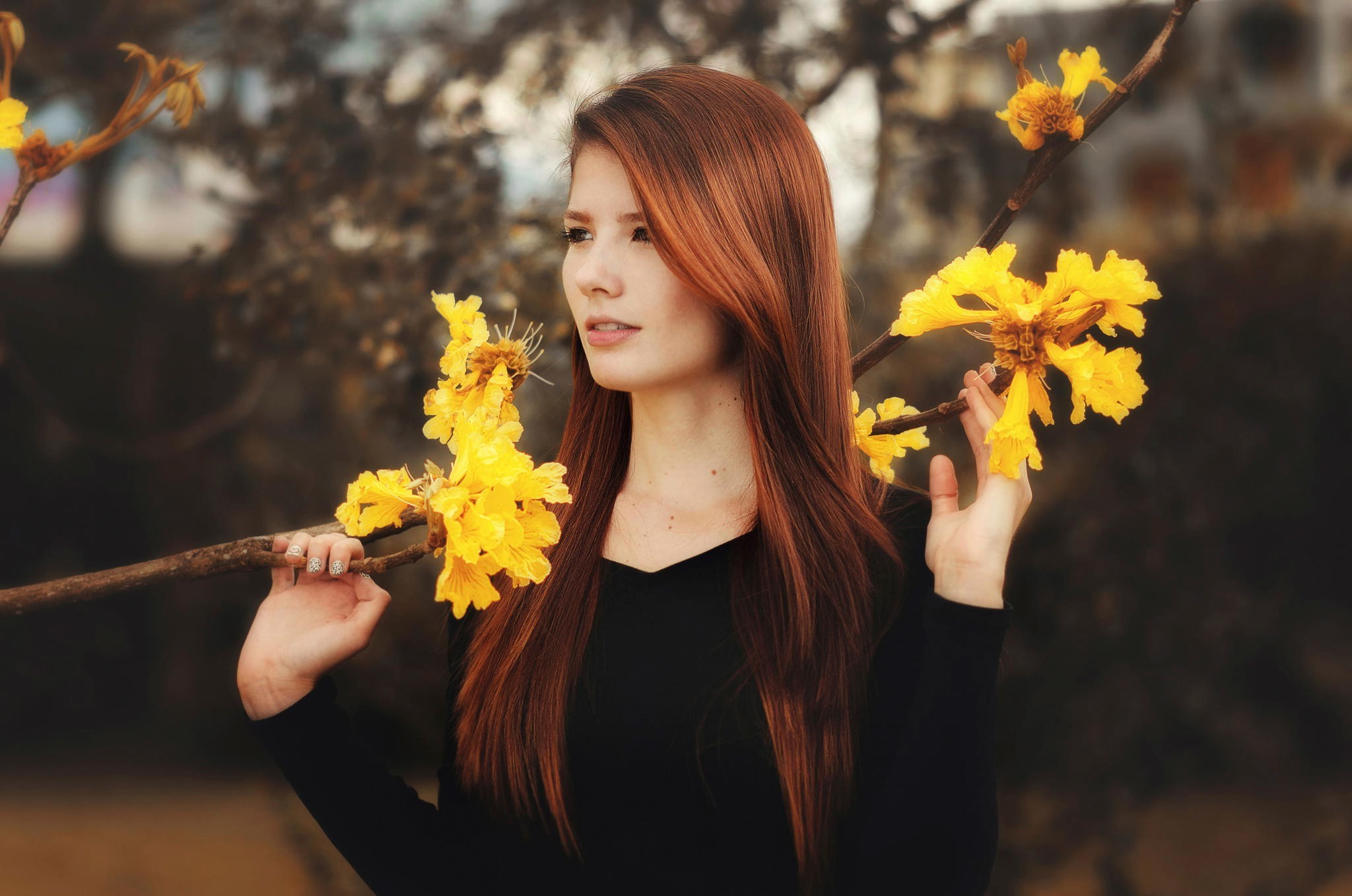 women, Hair, Model, Nature, Trees, Forest, Redhead, Spring Wallpaper