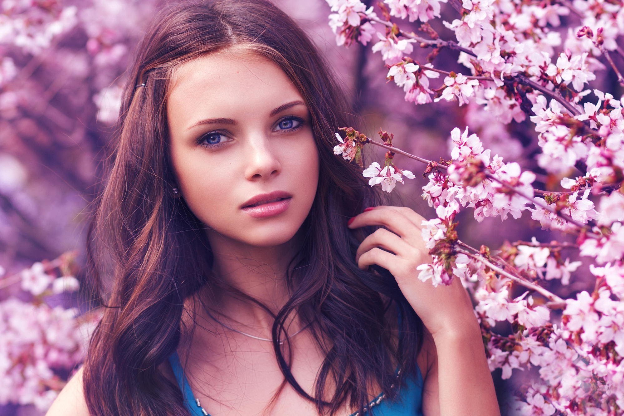 face, Model, Women, Brunette, Blue Eyes, Cherry Blossom Wallpaper