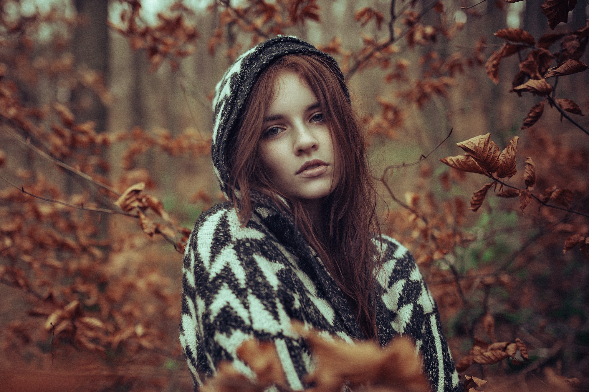 women, Model, Redhead, Long Hair, Women Outdoors, Looking At Viewer, Nature, Trees, Forest, Sweater, Leaves, Branch, Fall, Hoods, Open Mouth, Freckles, Depth Of Field Wallpaper