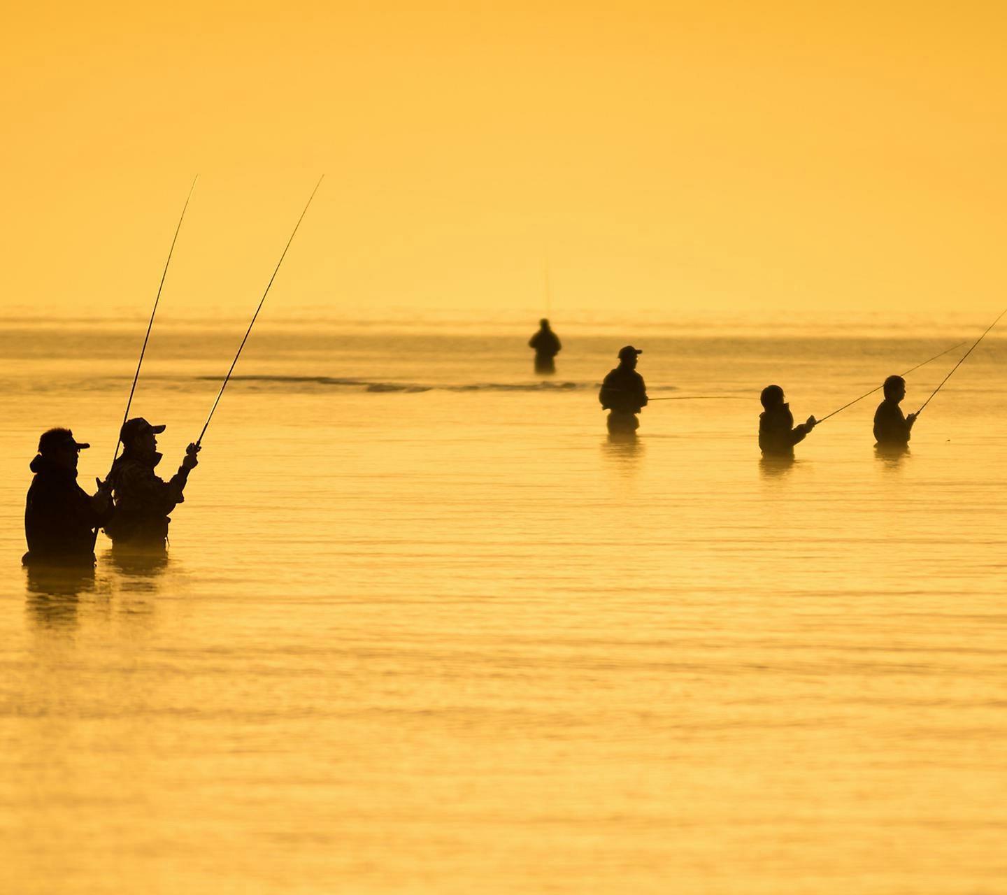 fishing Wallpaper