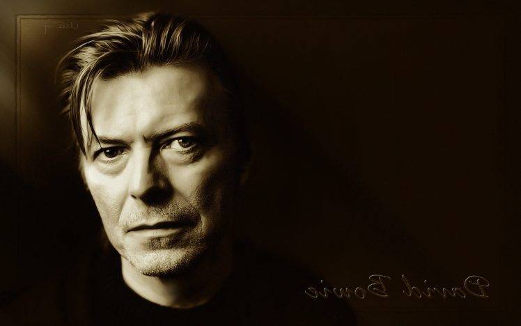 david Bowie, Musicians, Monochrome, Looking At Viewer HD Wallpaper Desktop Background