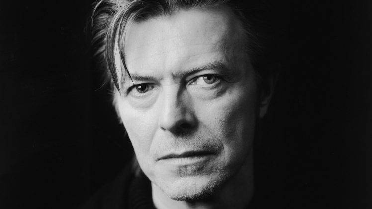 david Bowie, Musicians, Monochrome, Looking At Viewer, Celebrity, Legends HD Wallpaper Desktop Background