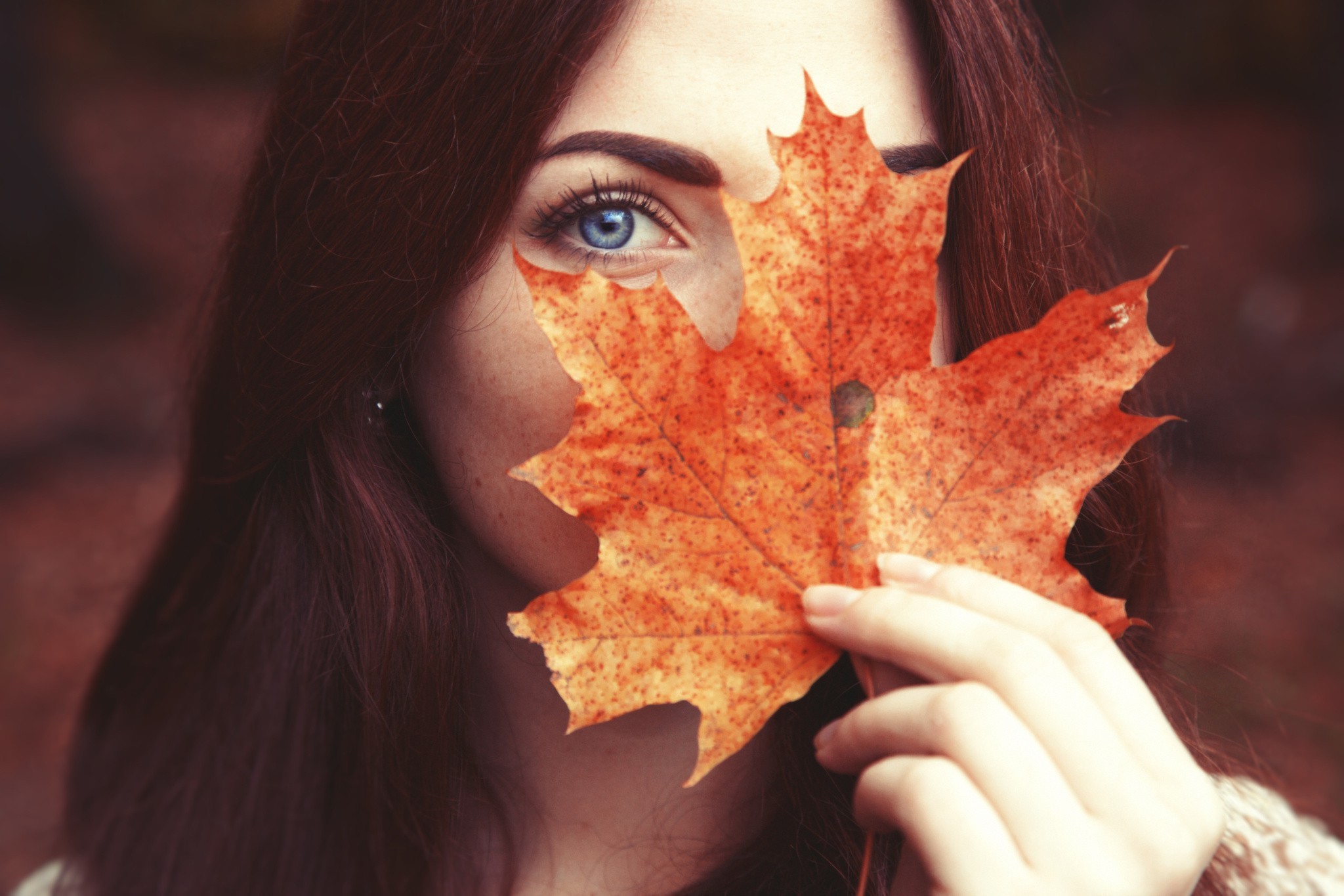 women, Face, Portrait, Leaves, Looking At Viewer, Freckles, Blue Eyes Wallpaper