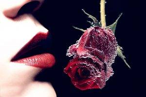 rose, Lips, Women