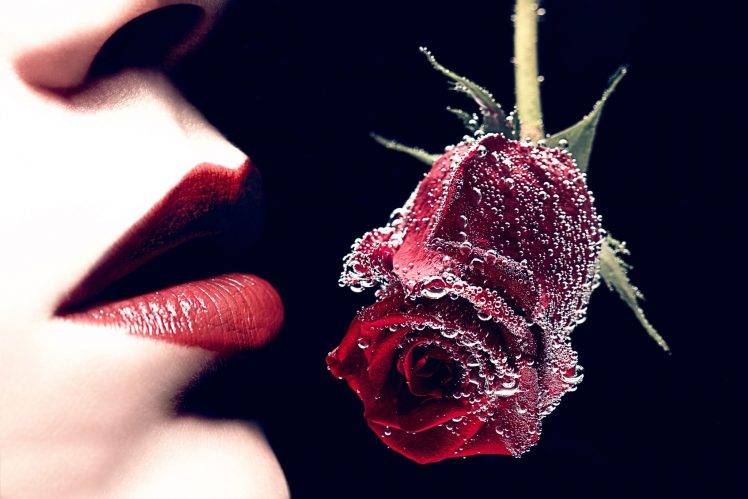 rose, Lips, Women HD Wallpaper Desktop Background