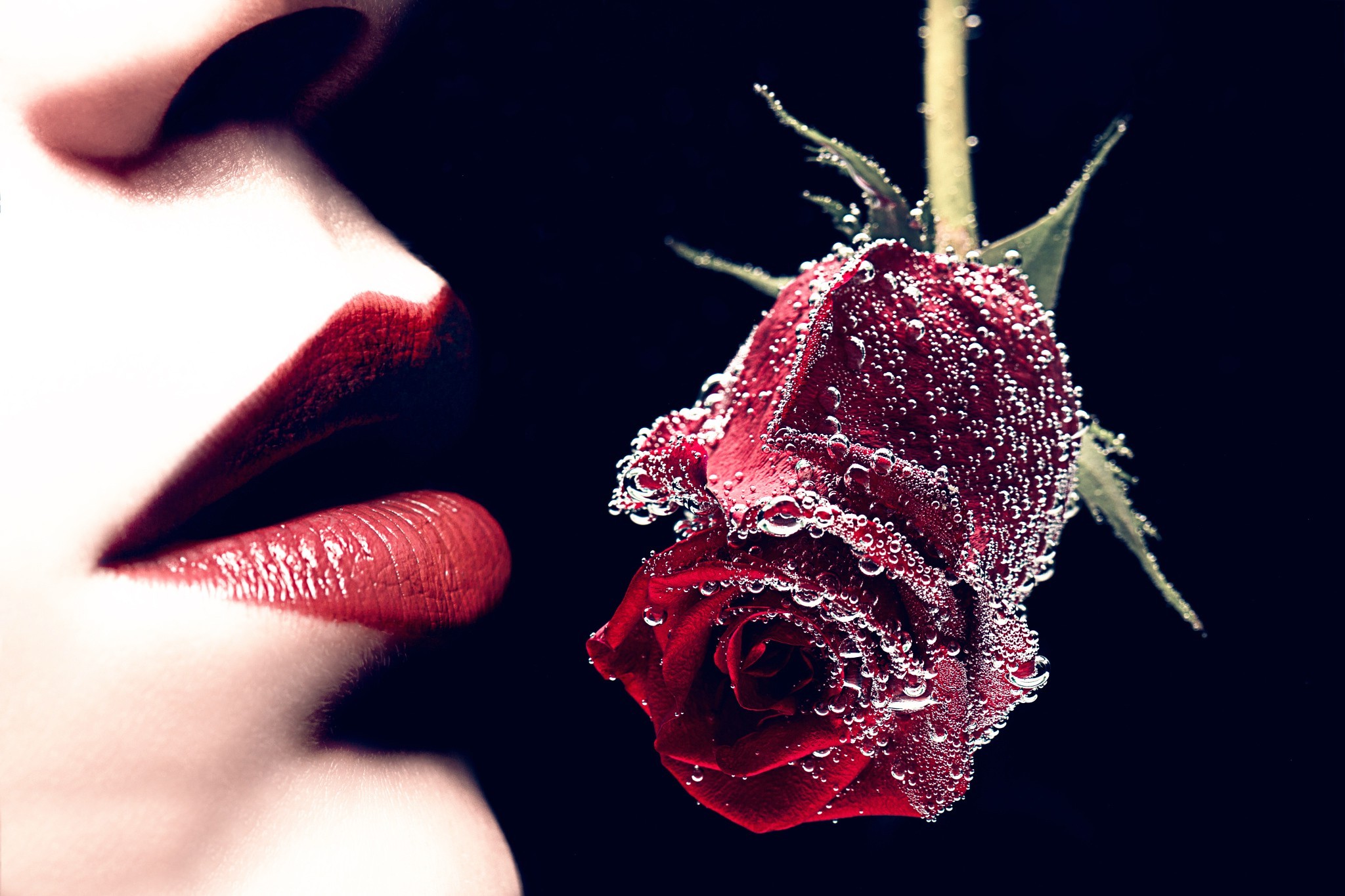 rose, Lips, Women Wallpaper