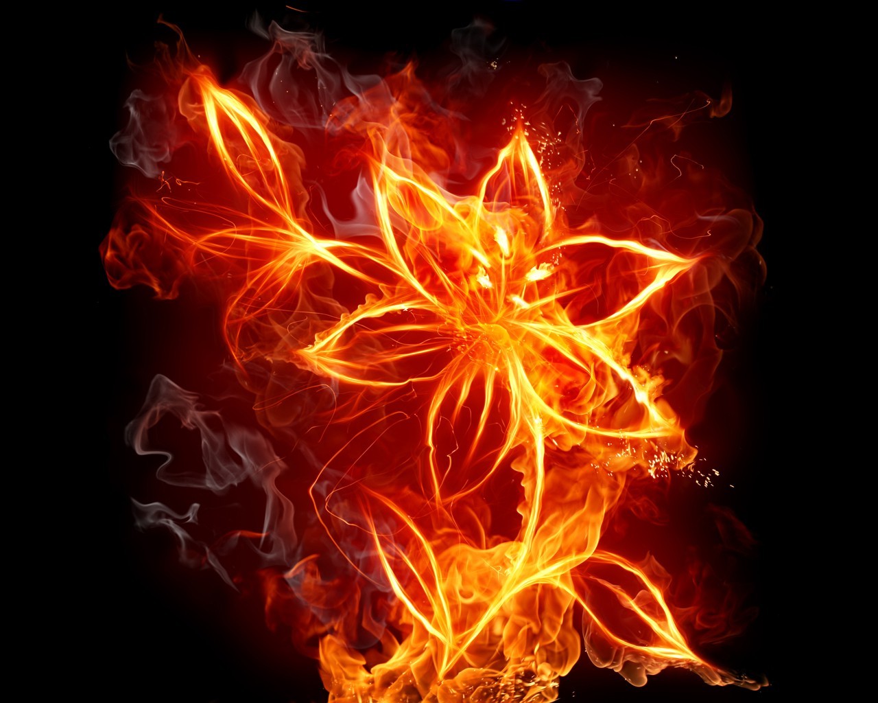 flowers, Fire Wallpapers HD / Desktop and Mobile Backgrounds.