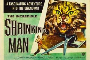 The Incredible Shrinking Man, Film Posters, B Movies, Psychotronics
