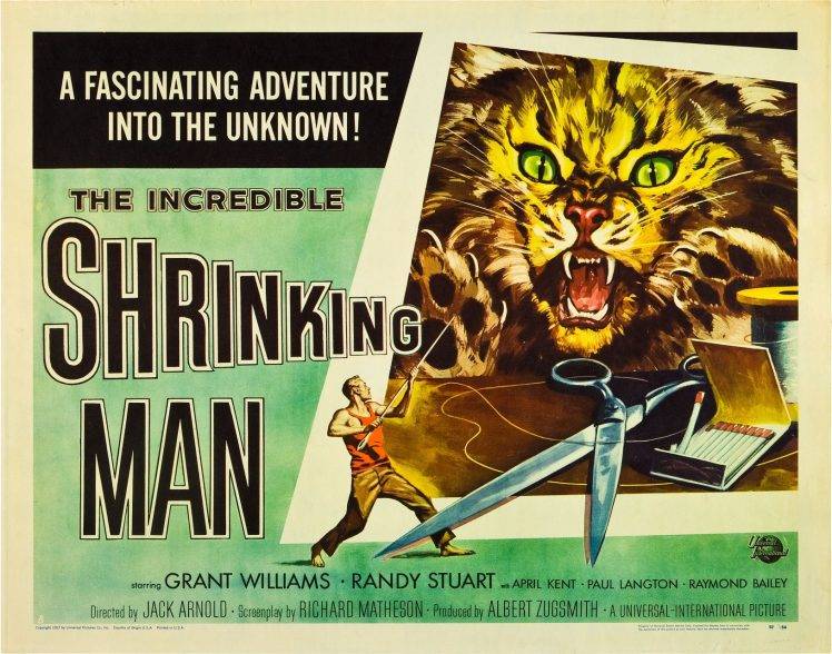 The Incredible Shrinking Man, Film Posters, B Movies, Psychotronics HD Wallpaper Desktop Background