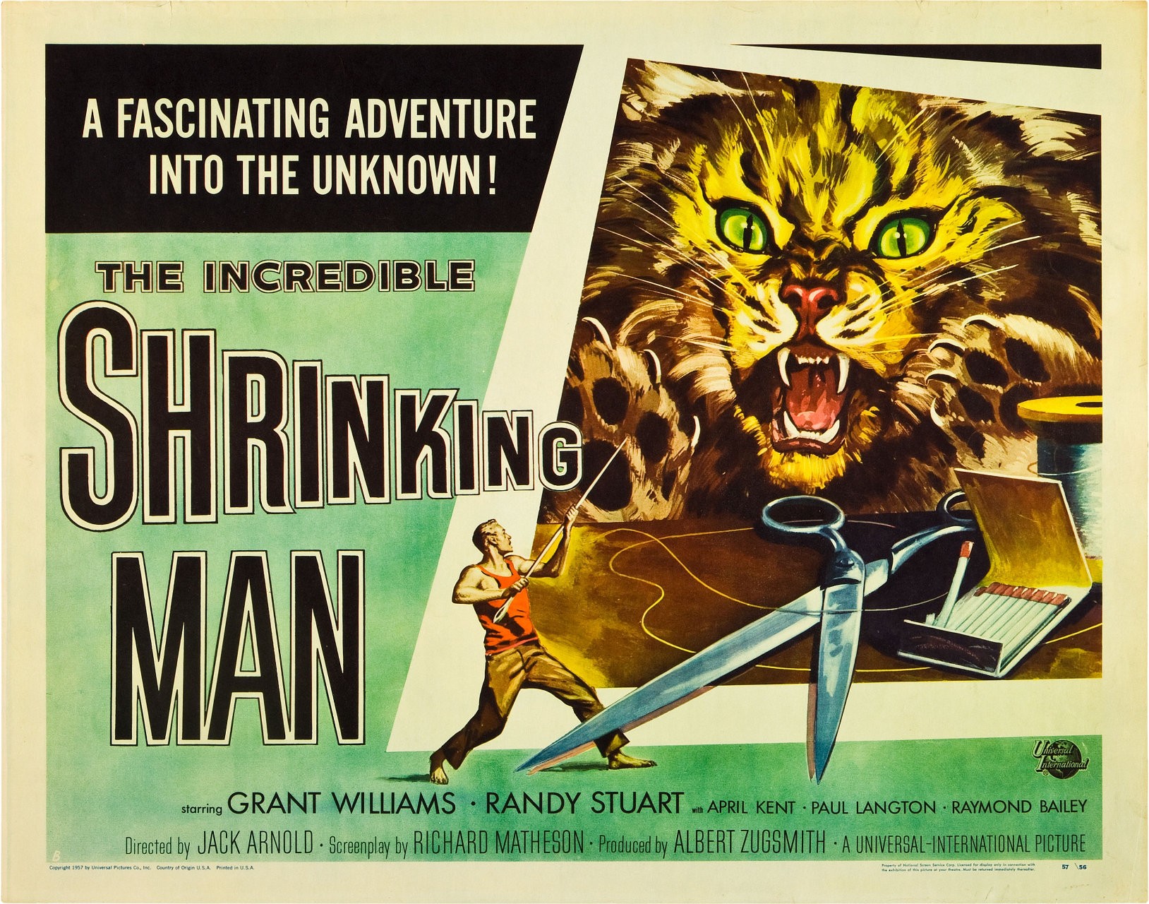 The Incredible Shrinking Man, Film Posters, B Movies, Psychotronics Wallpaper
