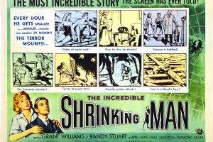 The Incredible Shrinking Man, Film Posters, B Movies, Psychotronics