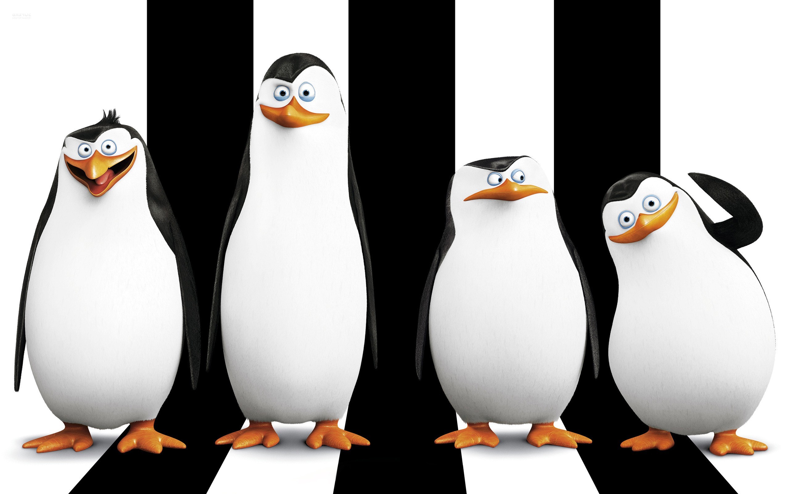 penguins, Movies, Penguins Of Madagascar Wallpaper