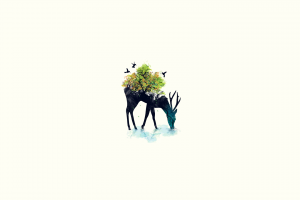 deer, Minimalism, Nature