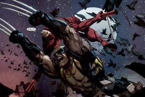 movies, X Men, Wolverine, Daredevil, Comic Books