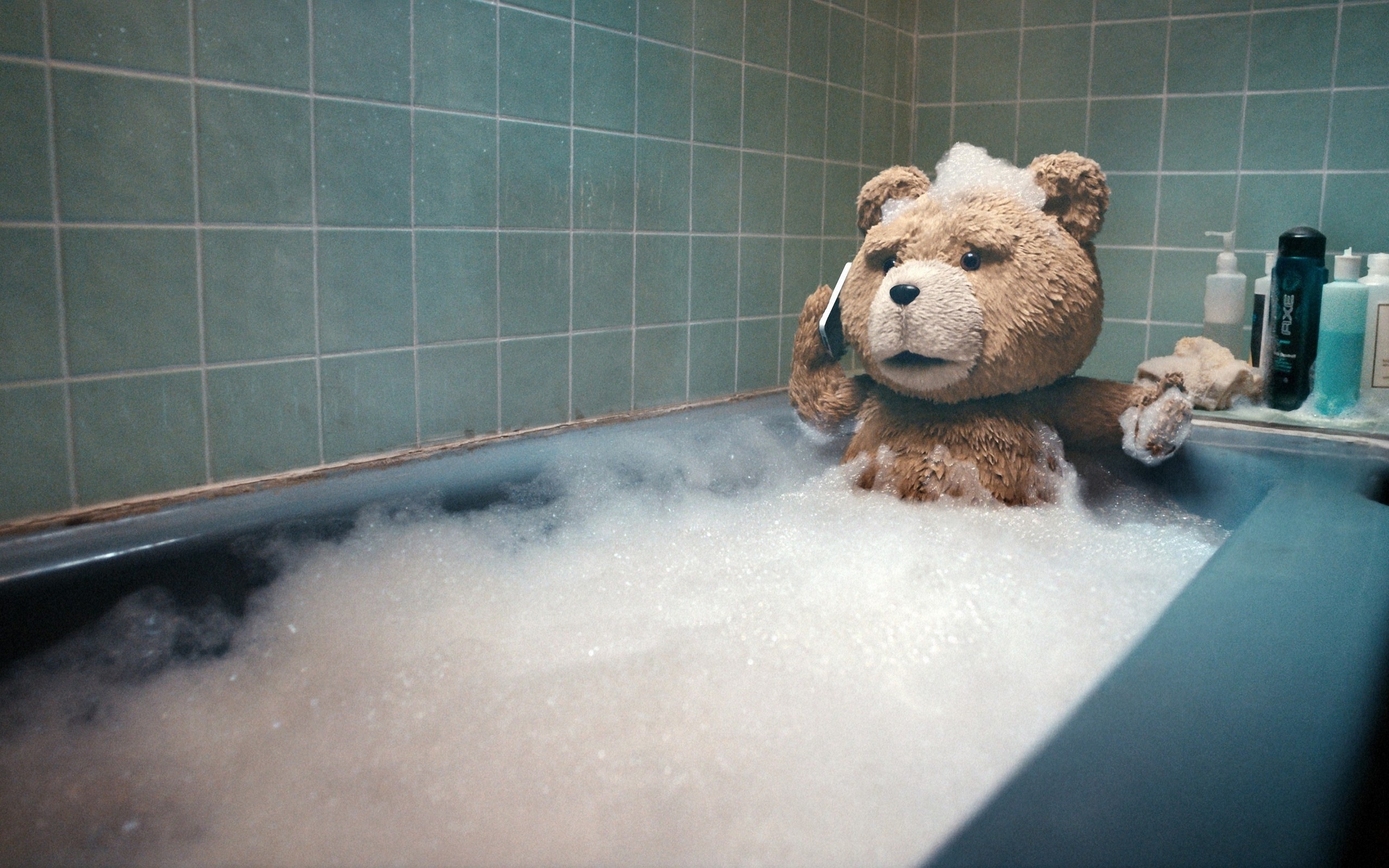 Ted (movie) Wallpaper