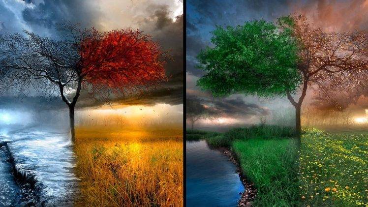 seasons, Digital Art, Nature, Drawing HD Wallpaper Desktop Background