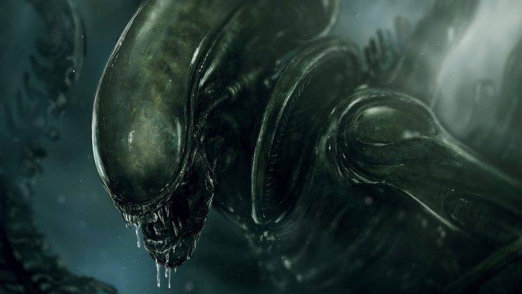 Alien (movie), Xenomorph HD Wallpaper Desktop Background