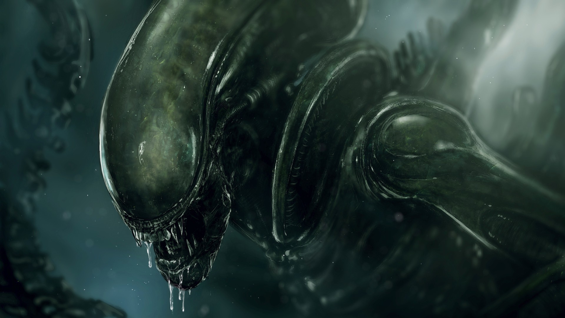 Alien (movie), Xenomorph Wallpaper