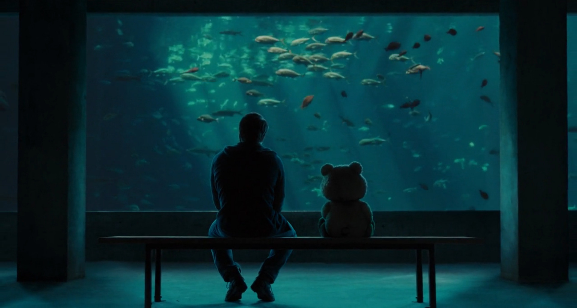 Ted, Aquarium, Movies Wallpaper