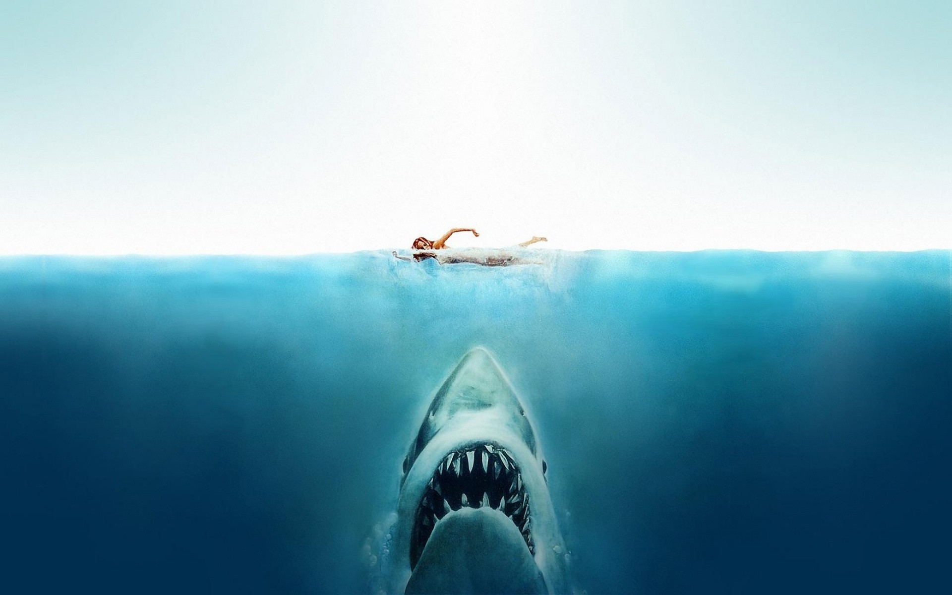 Jaws, Movies, Shark, Split View Wallpaper
