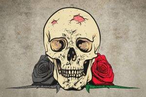 digital Art, Drawing, Skull, Rose, Teeth, Flowers, Thorns, Simple Background