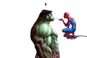 spider, Spiderman Vs Hulk, Hulk (film)