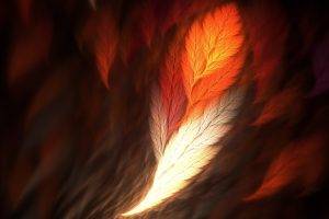 abstract, Feathers, Fractal