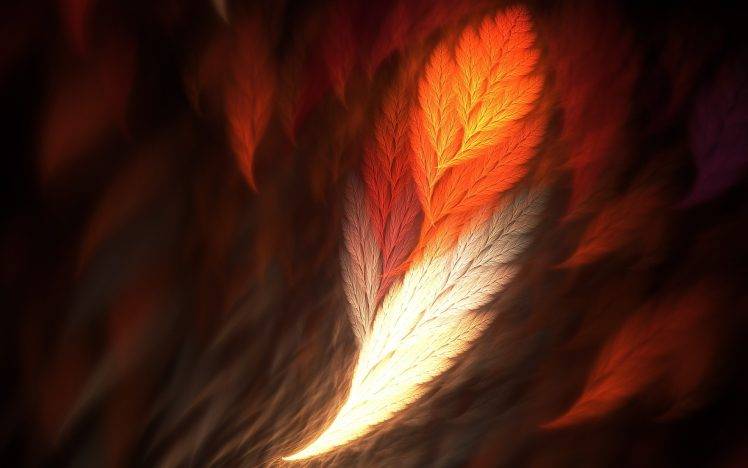 abstract, Feathers, Fractal HD Wallpaper Desktop Background