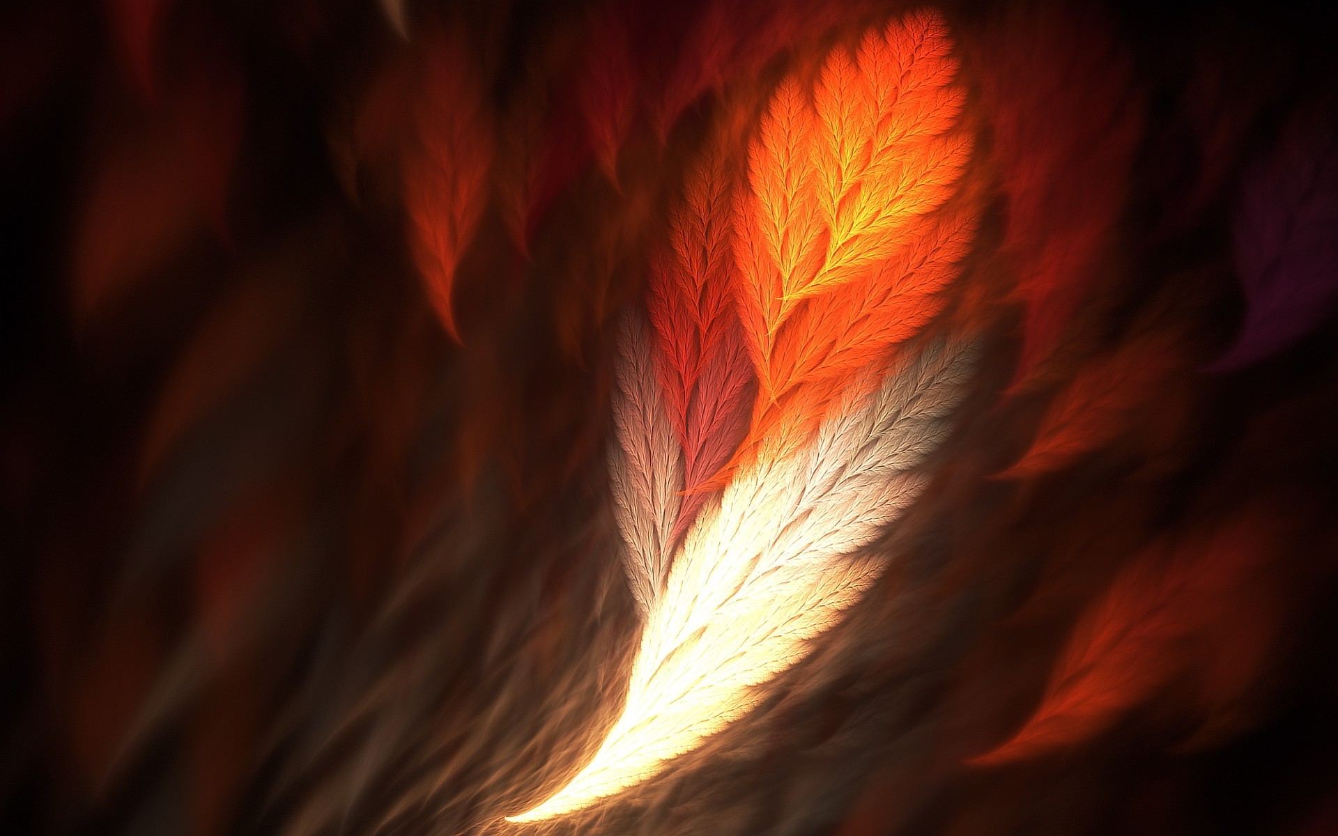 abstract, Feathers, Fractal