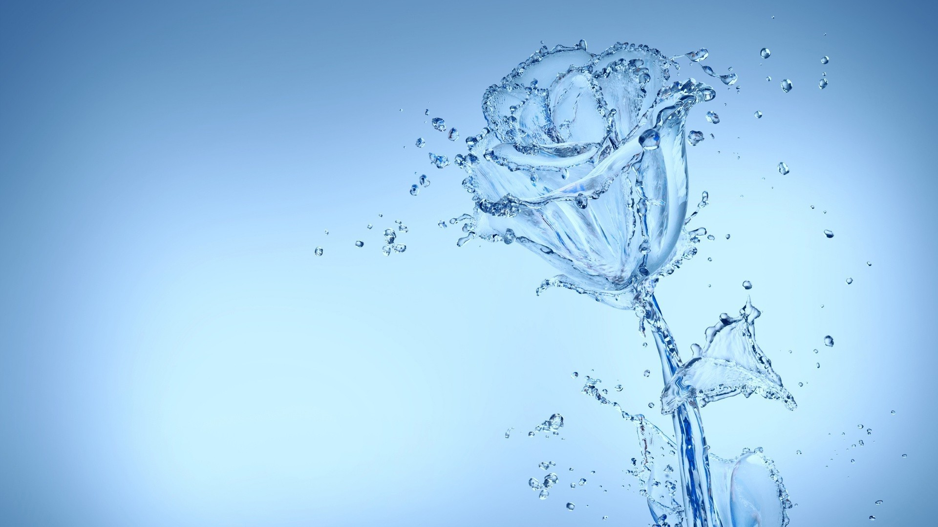 rose, Water, Abstract Wallpaper