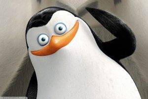 Penguins Of Madagascar, Cartoon, Movies