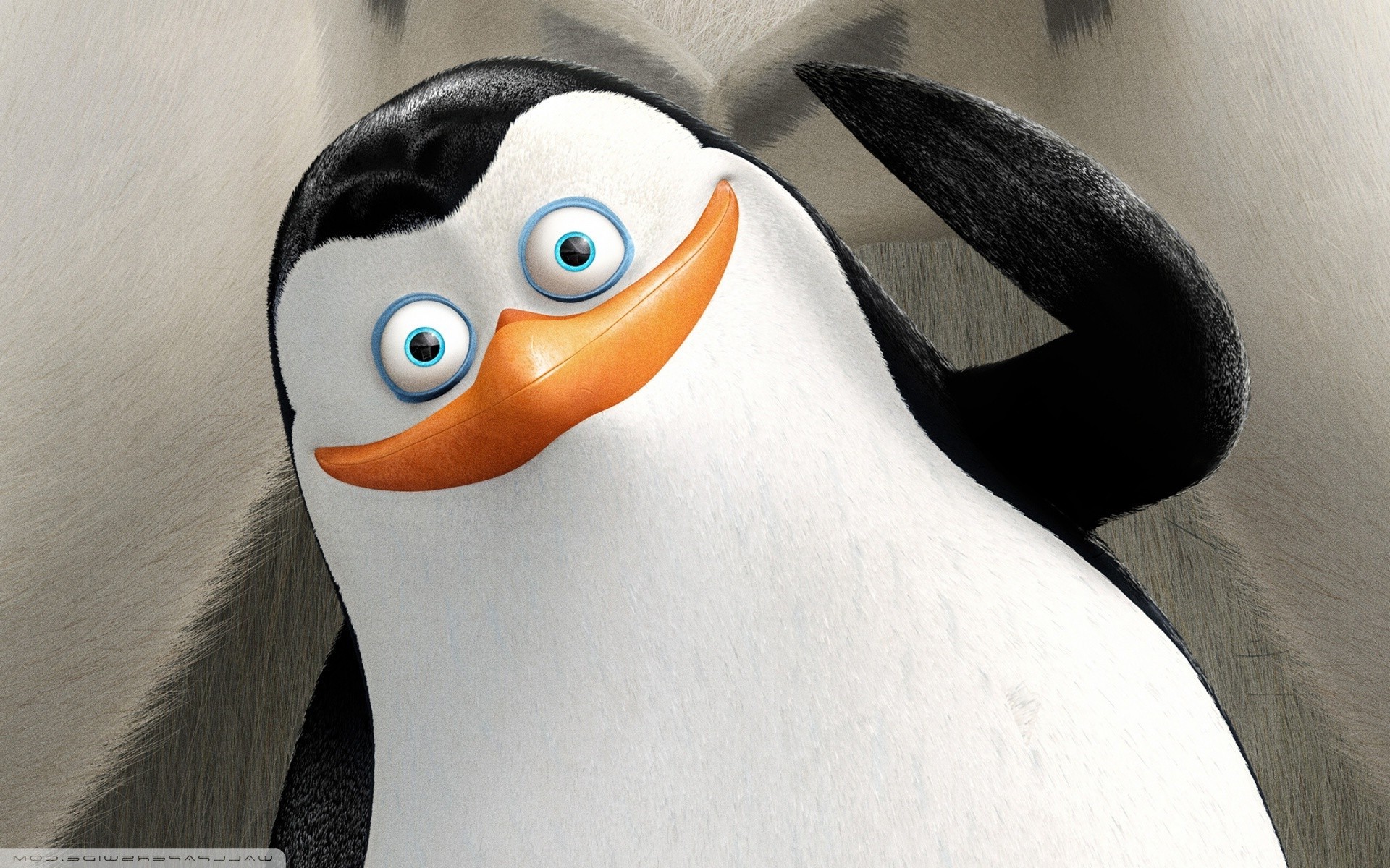 penguins of madagascar cartoon movies wallpapers hd