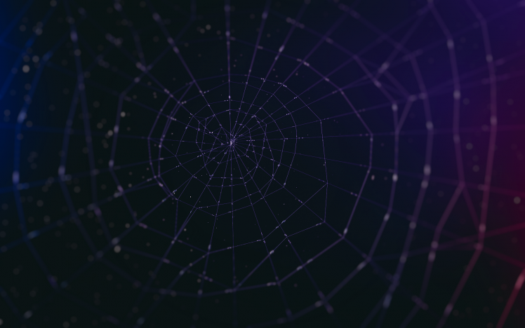 abstract, Spider HD Wallpaper Desktop Background