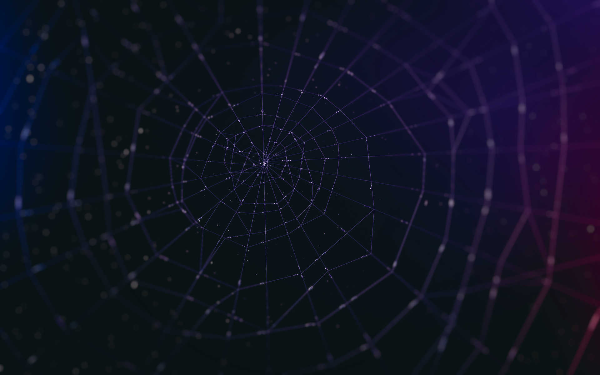 abstract, Spider Wallpaper