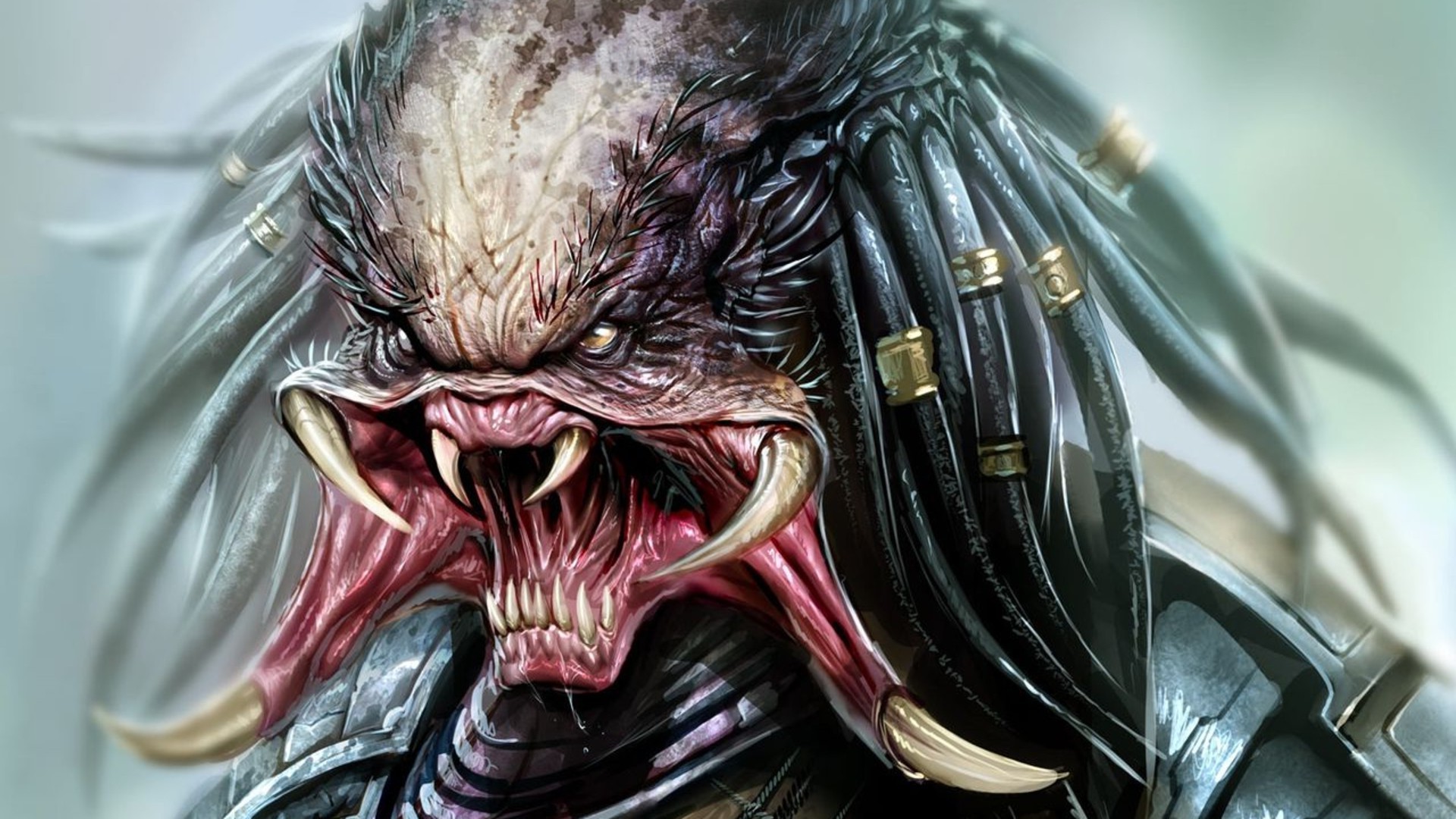 comics, Predator (movie) Wallpaper