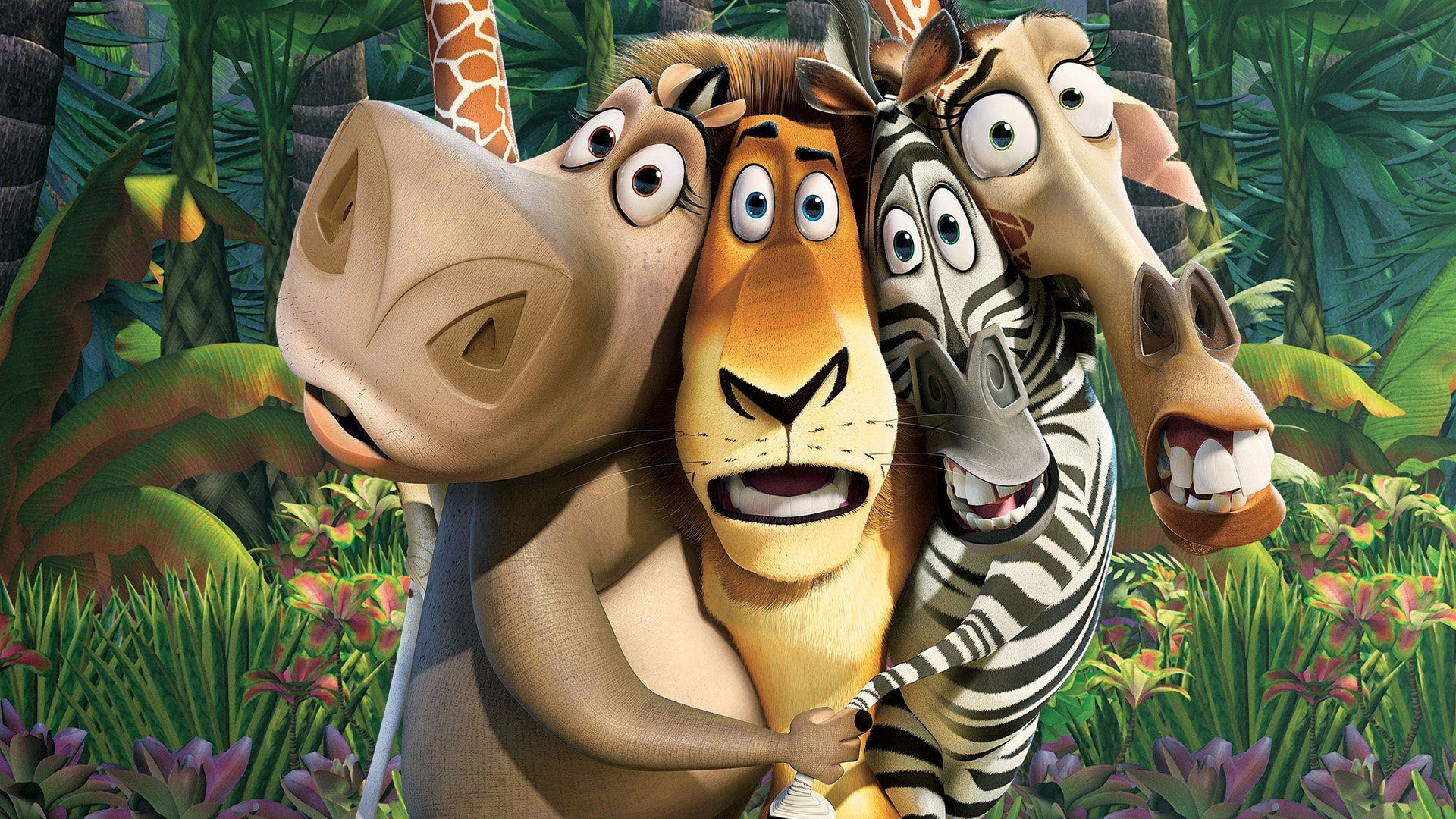 movies, Madagascar (movie) Wallpaper