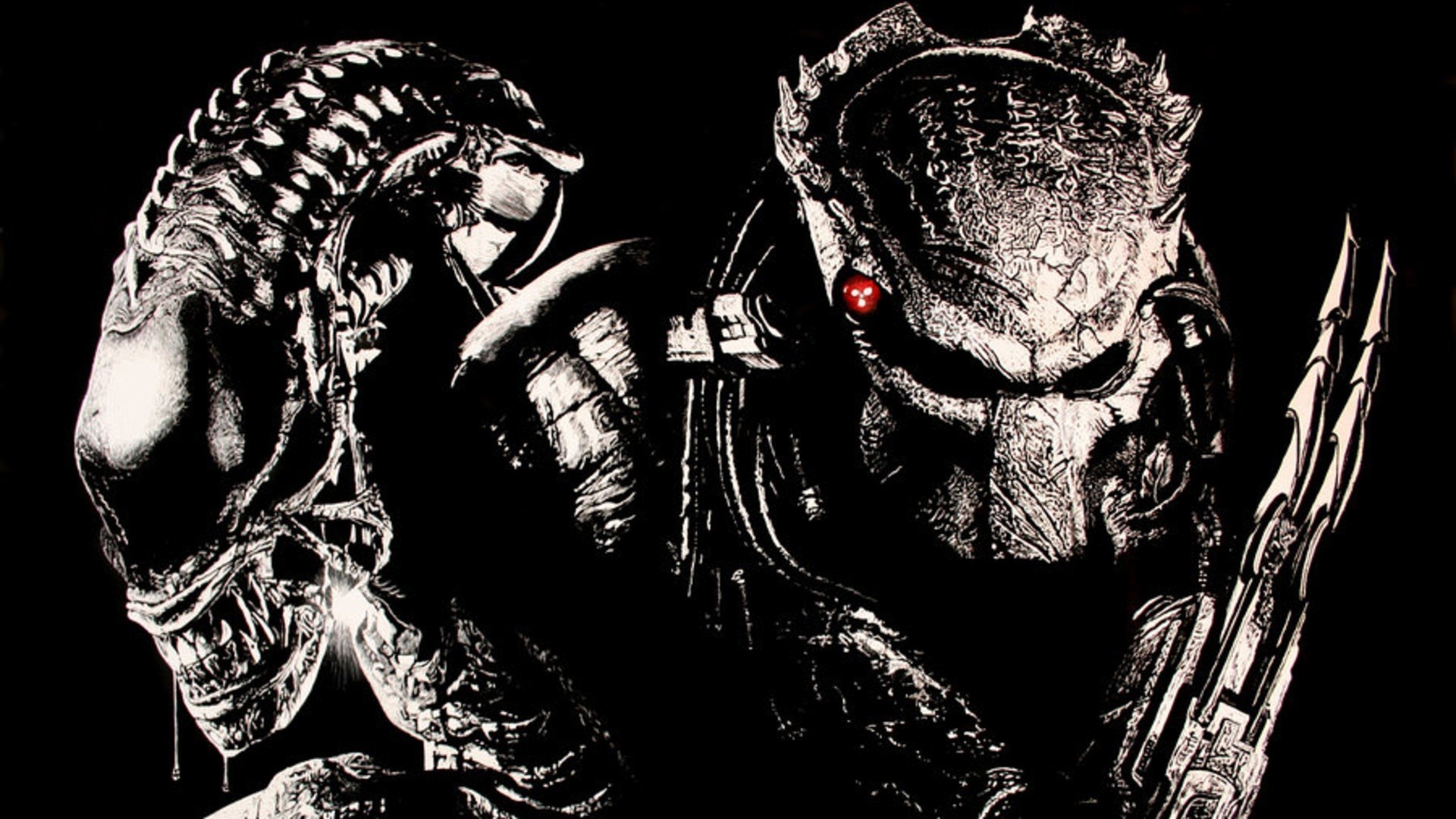 Predator (movie), Movies, Alien (movie) Wallpaper