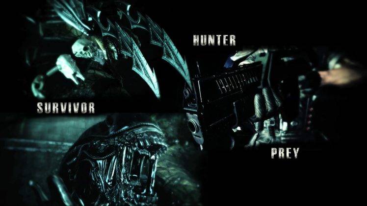 Predator (movie), Movies, Alien (movie) HD Wallpaper Desktop Background